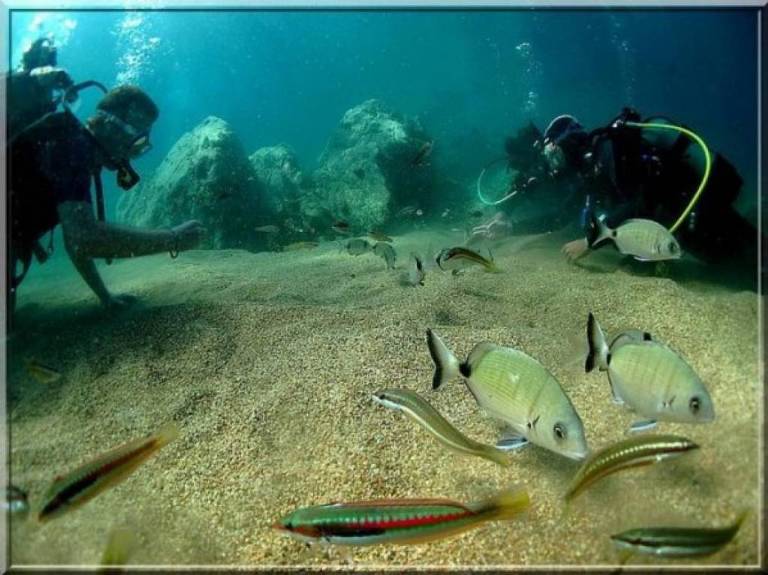 51j_Vues des fonds marins en Corse.jpg